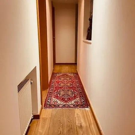 Charming & Spacious Duplex Viewing The Lovely Mas Apartment Antwerp